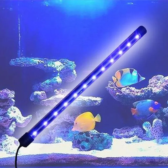 Đèn LED bể cá là gì?