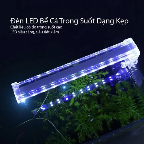 Hỗ trợ sự phát triển của cây thủy sinh